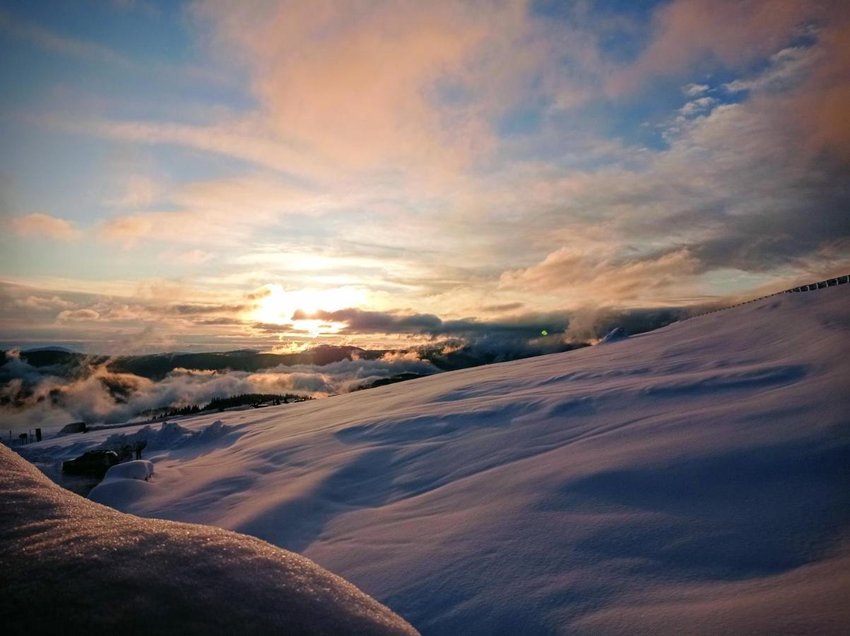 Cabana Transalpina Ranca Eksteriør bilde