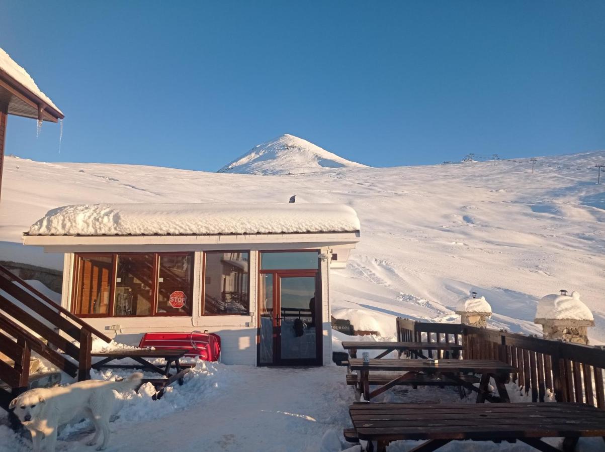 Cabana Transalpina Ranca Eksteriør bilde